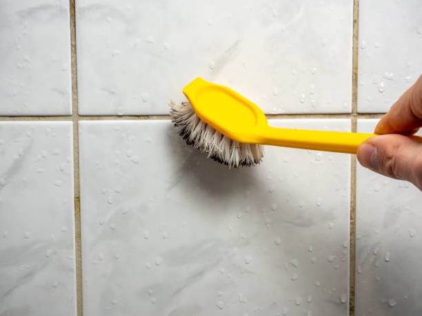 Best Mold Removal Near Me  in North Barrington, IL