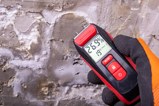 Best Crawl Space Mold Removal  in North Barrington, IL
