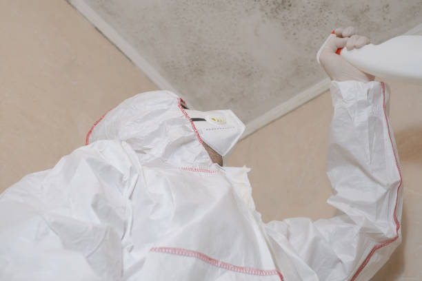 Best Mold Remediation Services  in North Barrington, IL