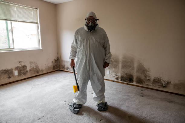 Best Crawl Space Mold Removal  in North Barrington, IL